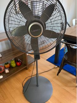 Fan