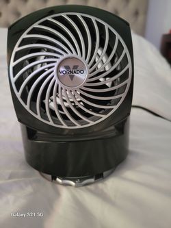 Personal fan