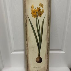 28" x 8.5" NYBG Narcissus Botanical Wall Plaque