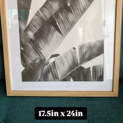 Frame