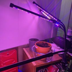 Grow Light