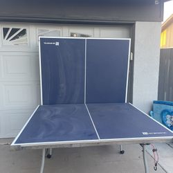 Ping Pong Table