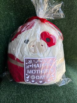 Mother’s Day gift