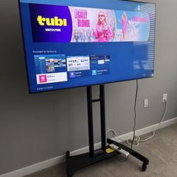 Samsung Tv With Rolling Stand 