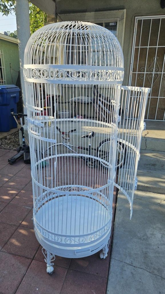 Bird Cage 