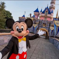 Disneyland Park Hopper