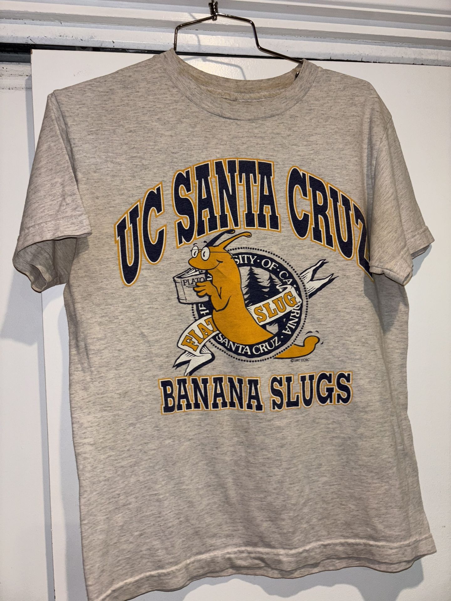 UC Santa Cruz Vintage Shirt 