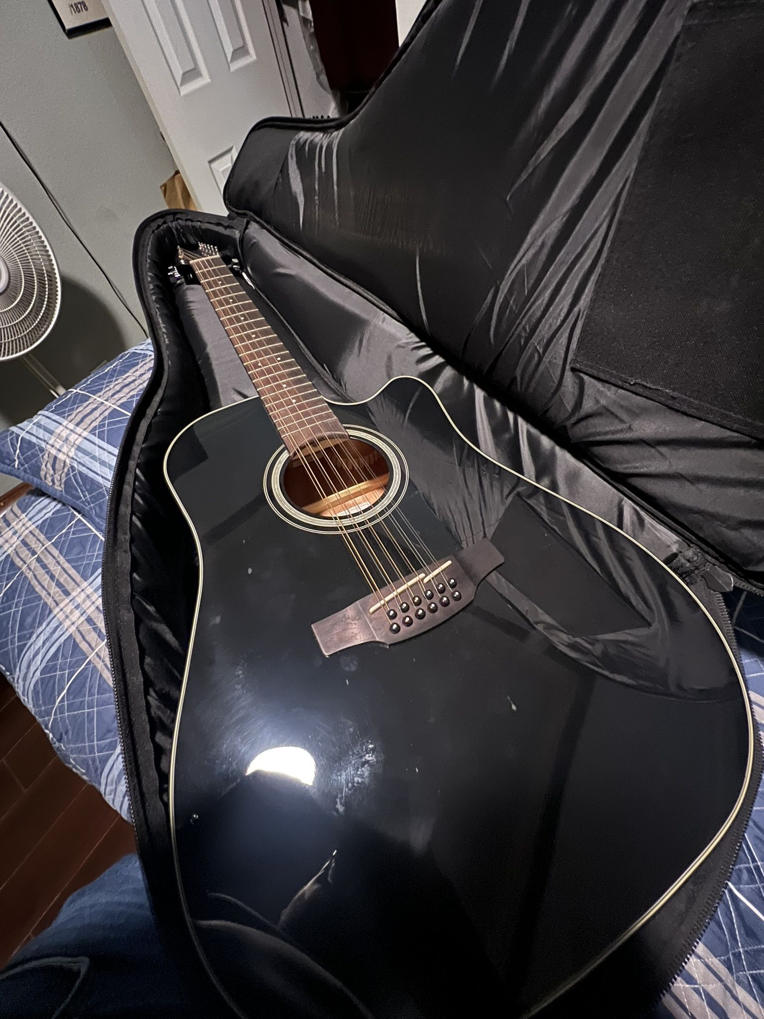 12 String Takamine