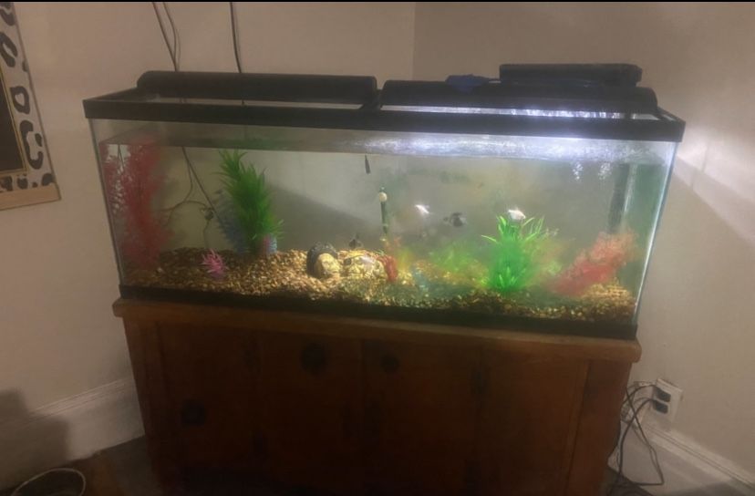 Fishtank W/stand