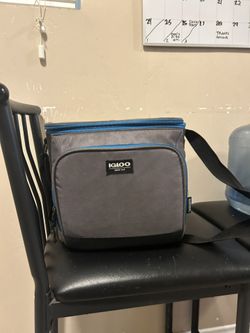 Igloo Lunch Bag