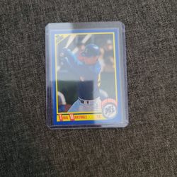 Tino Martinez Mlb Rookie Card 
