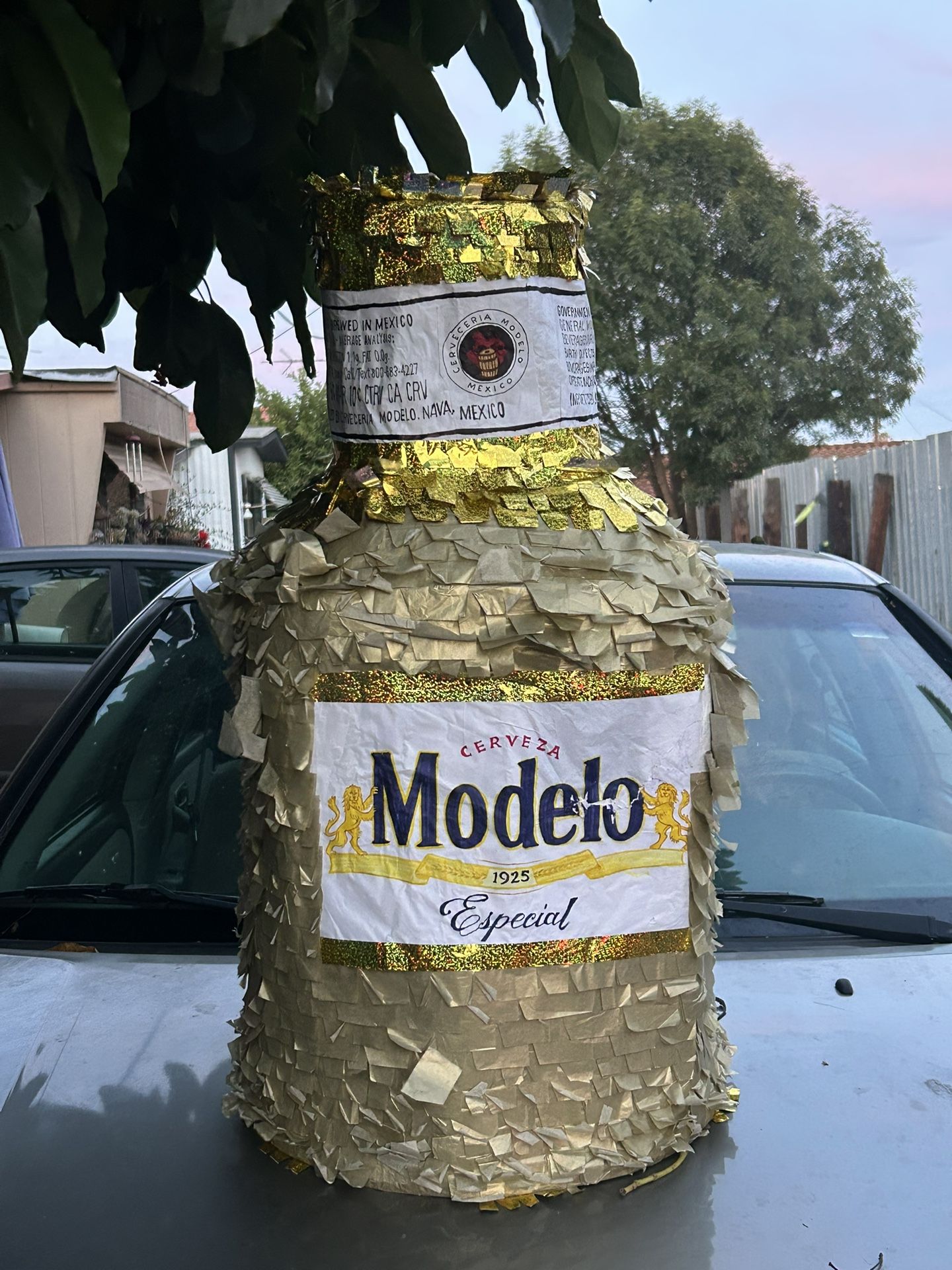 Bottle Pinata