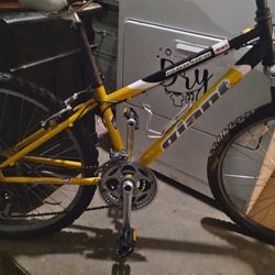Giant  Mt. Bike