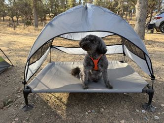 Elevated Dog Bed with Canopy