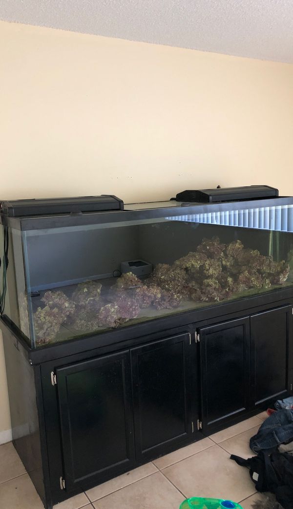 Free 180 gallon 6 foot aquarium with stand for Sale in Lauderhill, FL