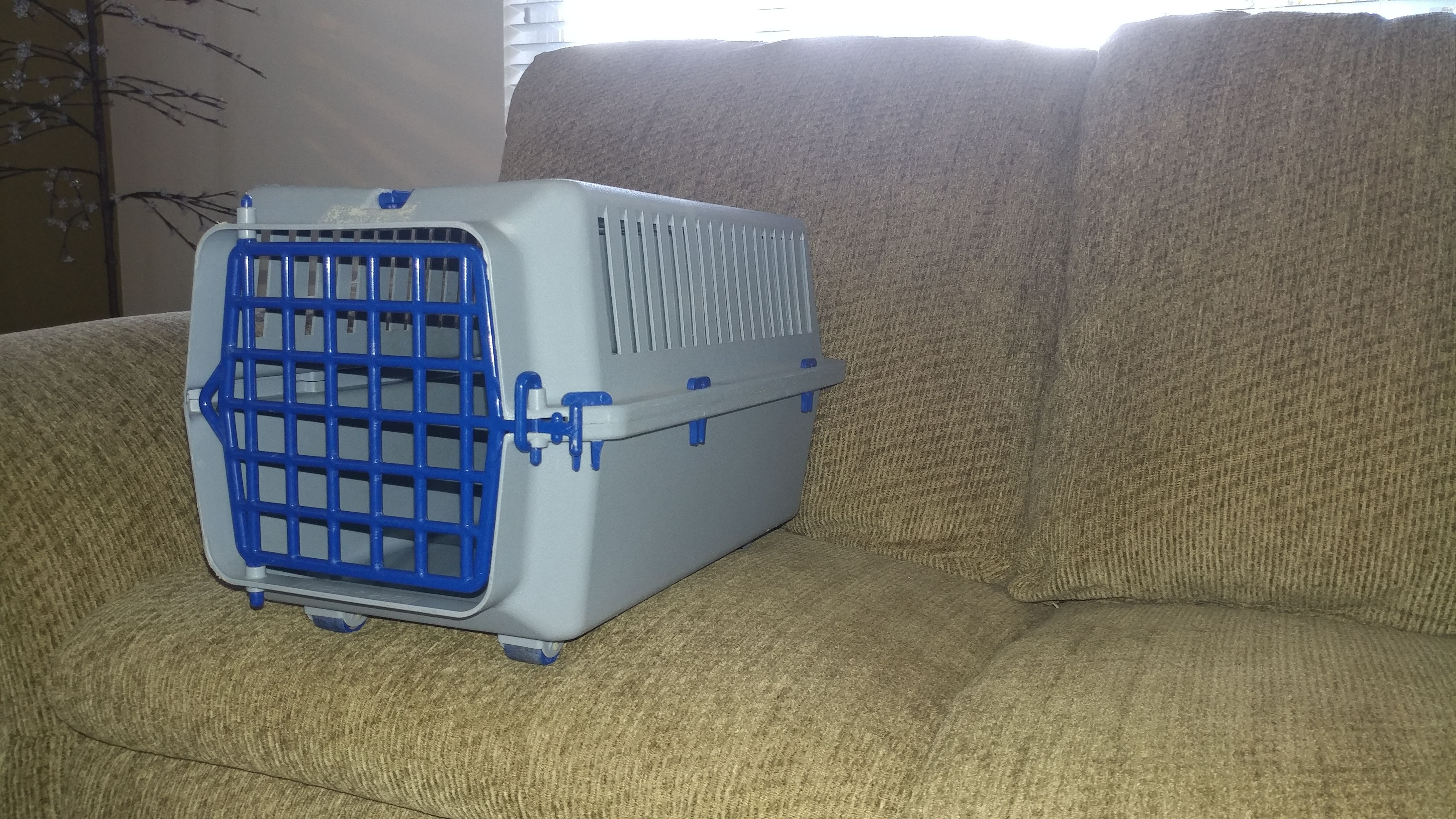 Stylette Pet Shuttle Crate Kennel for Sale in McKenna, WA OfferUp