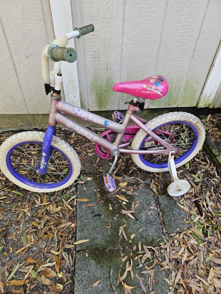 Girls Bike With Training Wheels