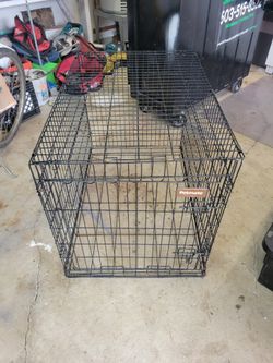 Dog Cage