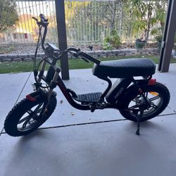 Heavy Duty E-bike