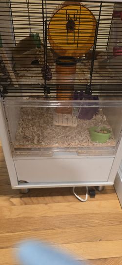 2 Hamster Cages