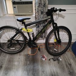 Brand New Genesis Custom Mountain Bike