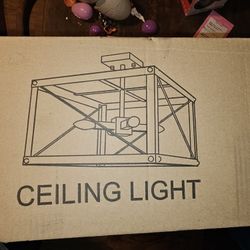 Ceiling Light 