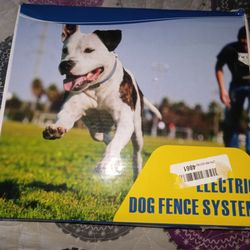 NEW ELECTRONIC DOG FENCE SYSTEM