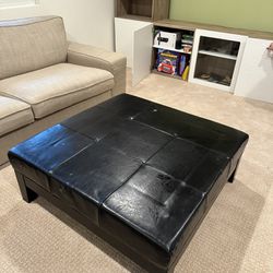 Free Couch Cushion/table