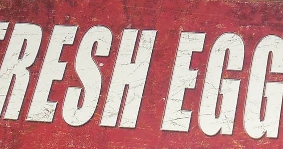 fresh eggs sign reproduction $10 everson