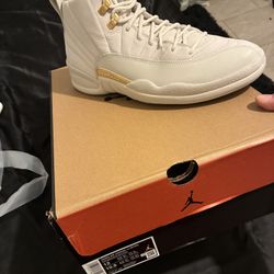 Jordan 12 Women Phantoms