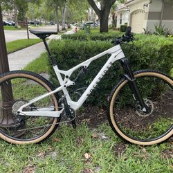 Full Carbon Rockrider XC Race900S