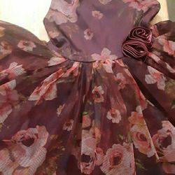 Girl's Dress by Zunie 4T