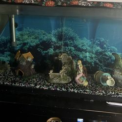 55 Gal Fish Tank 