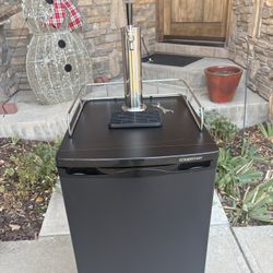 2025 Edgestar Kegerator