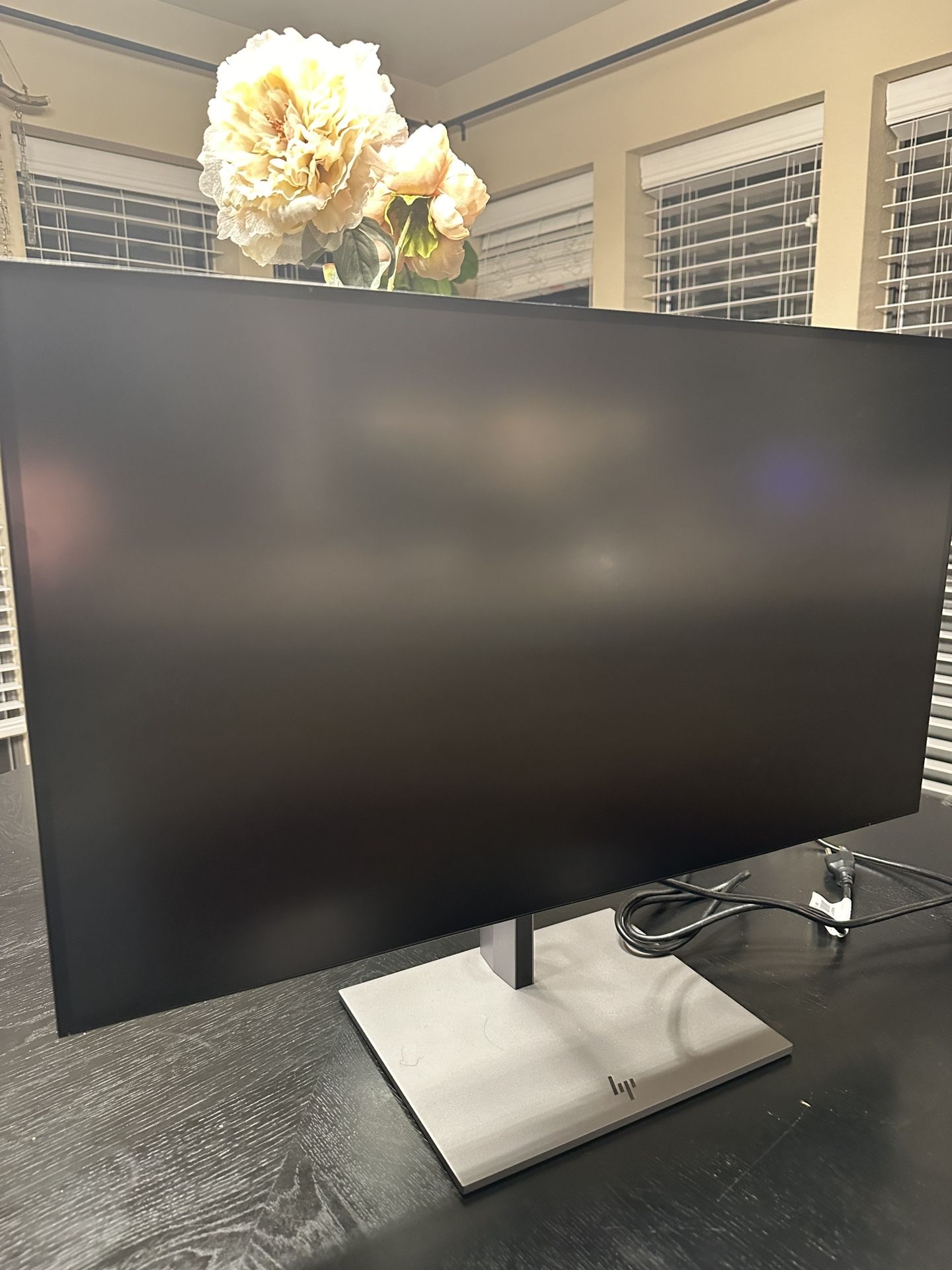 HP Monitor