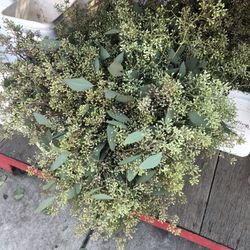 Eucalyptus Bunch Bouquet Decor