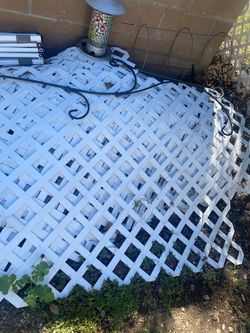 White panels