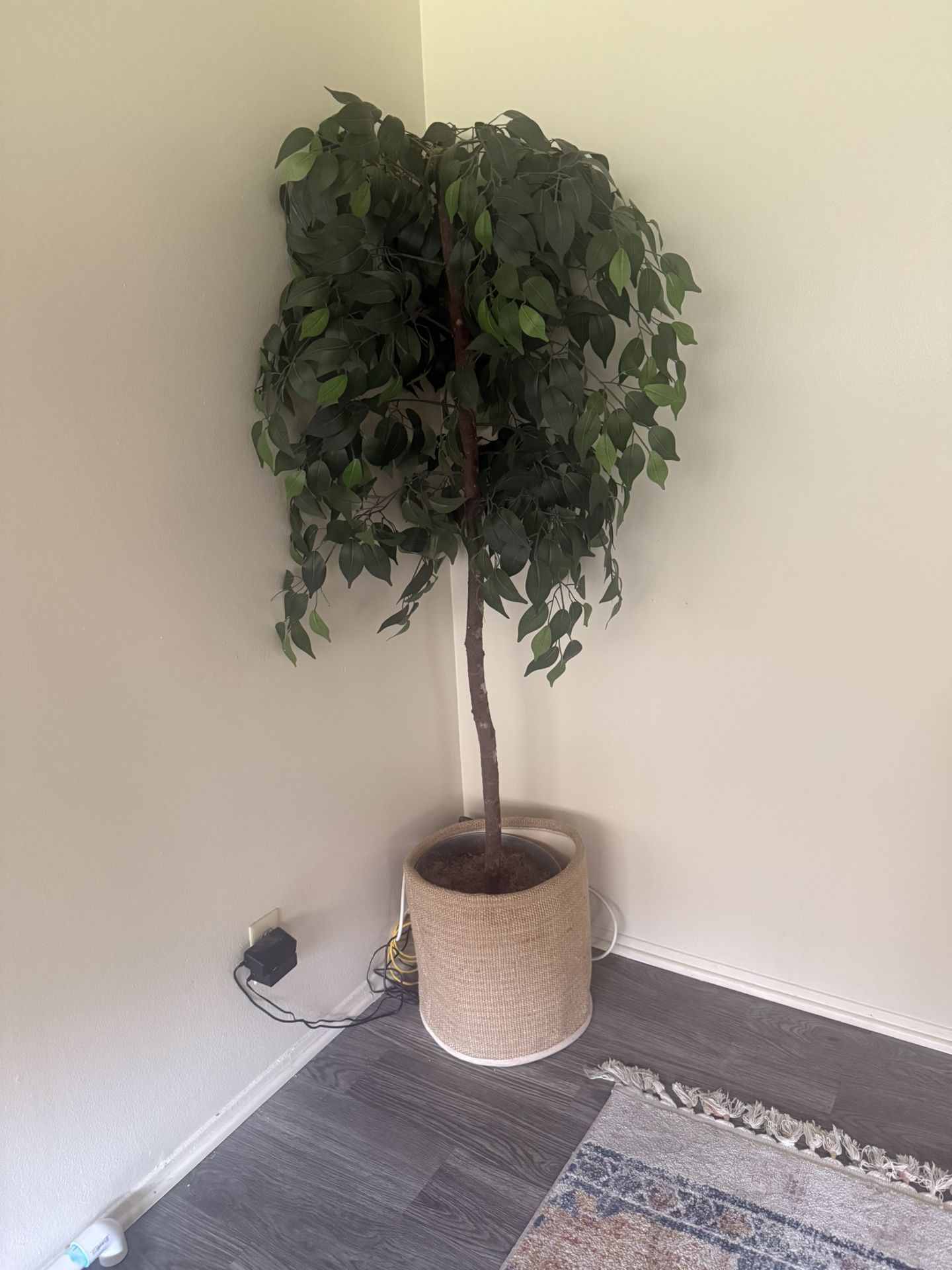 Fake Plant Beautiful For Indoor Home 40$