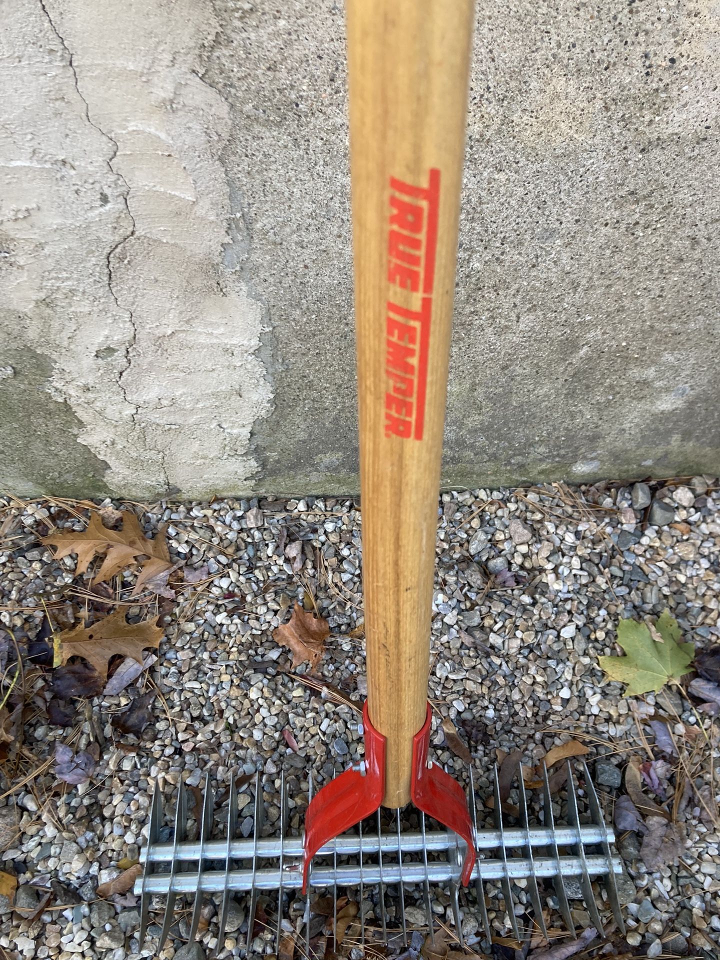 TRUE TEMPER Thatch Rake