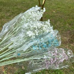 Baby BREATH  FLOWER FOR SALE