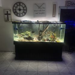 225 Gallons Fish Tank