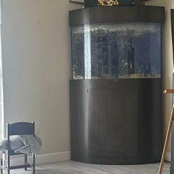 corner fish tank 
