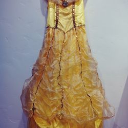 Princess Dress Costume Womans/ Girls Dress Size Standard