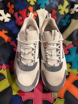 Dior B22 “White Reflective”