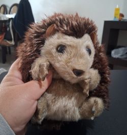Pre-owned Cute Hedgehog Plush