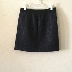 Ann Taylor Loft Skirt 