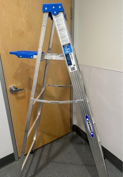 6" Werner Ladder