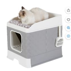 BingoPaw 2 in 1 Foldable Cat Litter Box with Cozy Cushion Bed