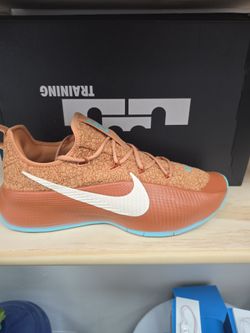 Lebron Tr 1