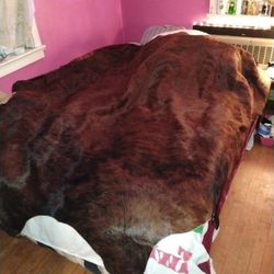 Brazilian Cow Hide 